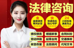 咨询法律经济纠纷债权债务合同纠纷婚姻纠纷刑事纠纷法务顾问